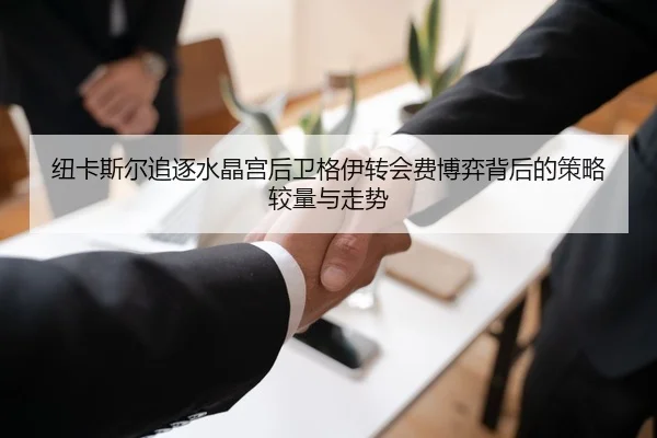 纽卡斯尔追逐水晶宫后卫格伊转会费博弈背后的策略较量与走势